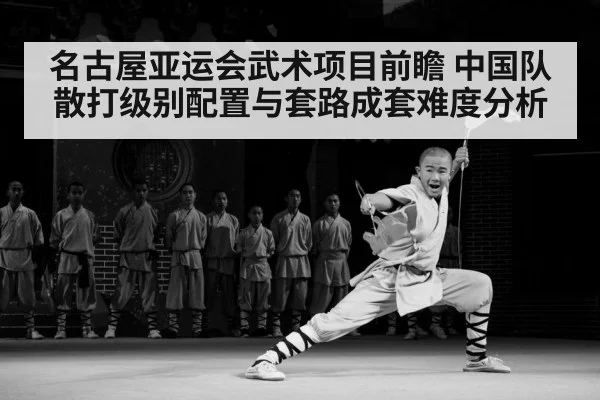 名古屋亚运会武术项目前瞻 中国队散打级别配置与套路成套难度分析